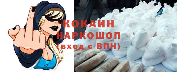 шишки Богданович