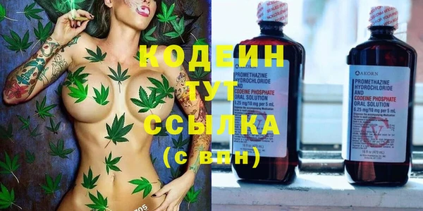 шишки Богданович